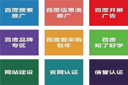 成功SEM搜索引擎优化案例，揭秘优化秘籍